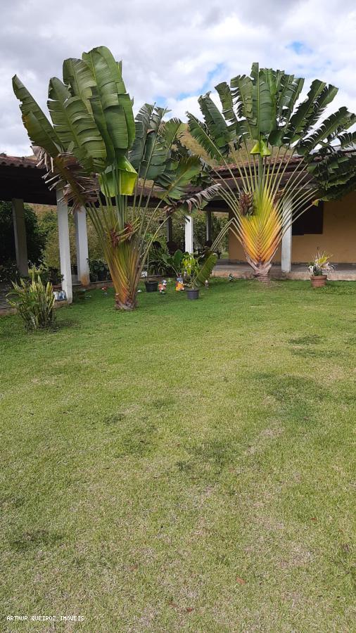 Sítio, 3 quartos, 3000 m² - Foto 3