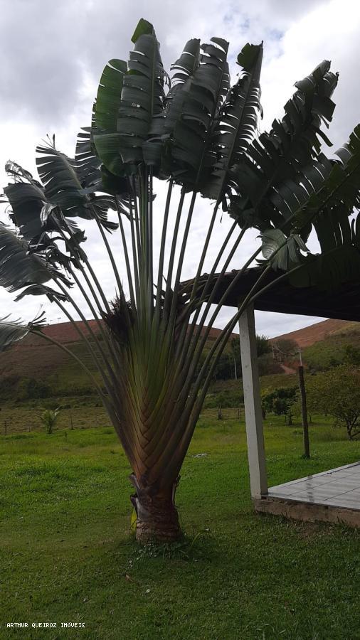 Sítio, 3 quartos, 3000 m² - Foto 2