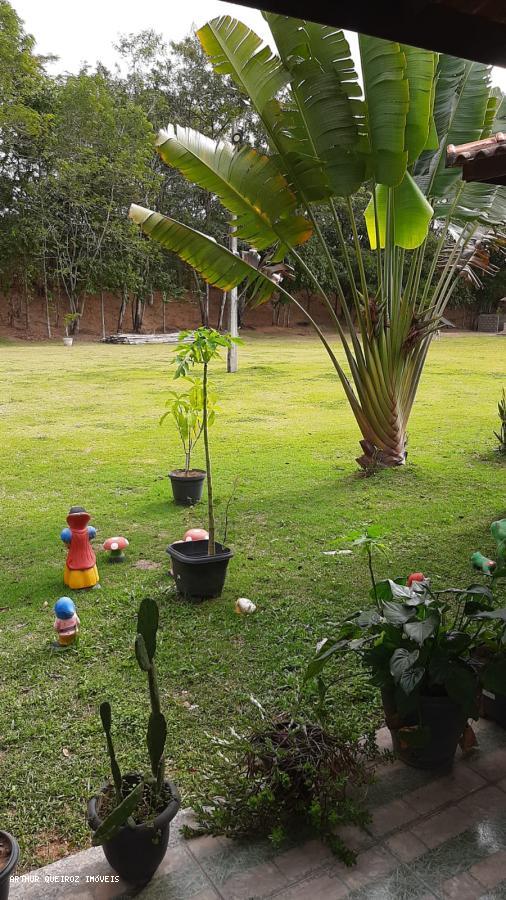 Sítio, 3 quartos, 3000 m² - Foto 8