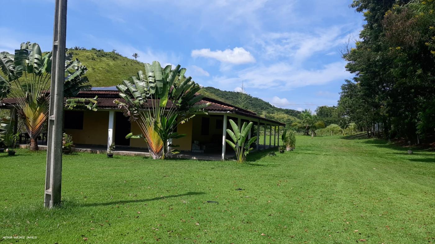 Sítio, 3 quartos, 3000 m² - Foto 9