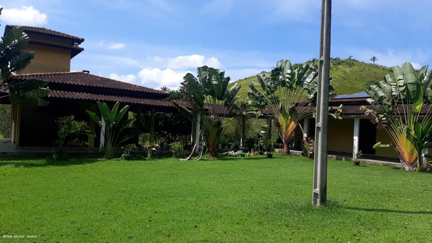 Sítio, 3 quartos, 3000 m² - Foto 10