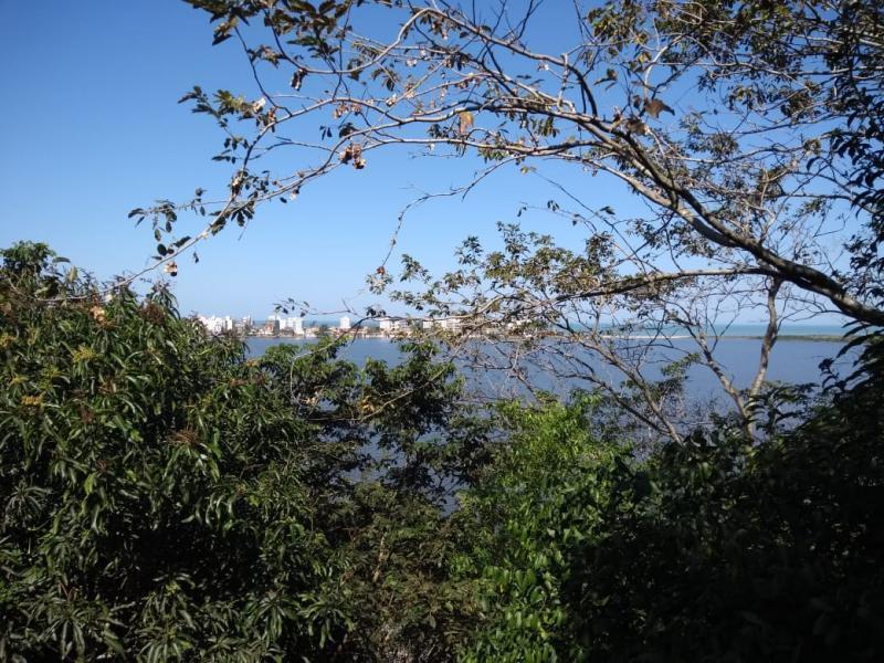 Casa, 3 quartos, 450 m² - Foto 29