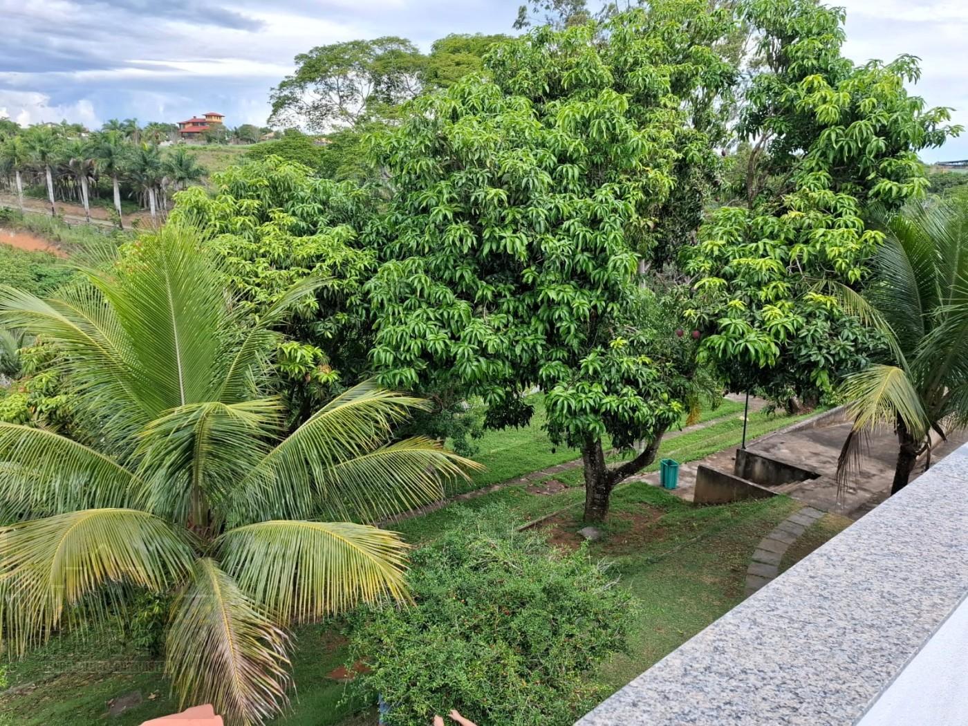 Sítio, 6 quartos, 7000 m² - Foto 14