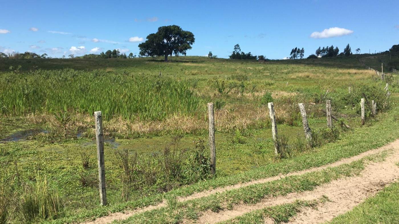 Loteamento e Condomínio, 126 hectares - Foto 2