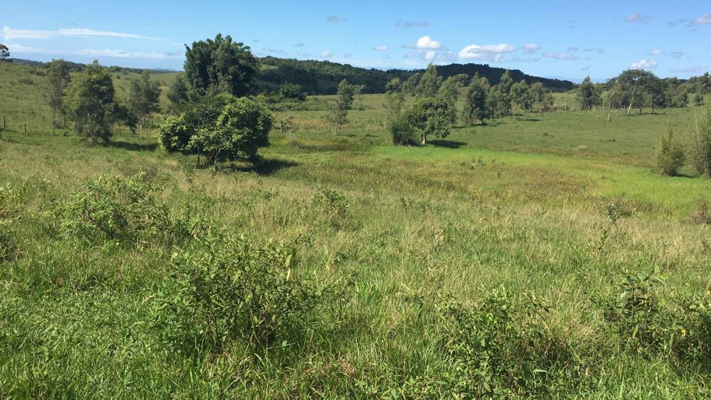 Loteamento e Condomínio, 126 hectares - Foto 4