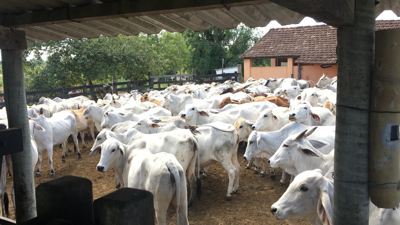 Loteamento e Condomínio, 126 hectares - Foto 6
