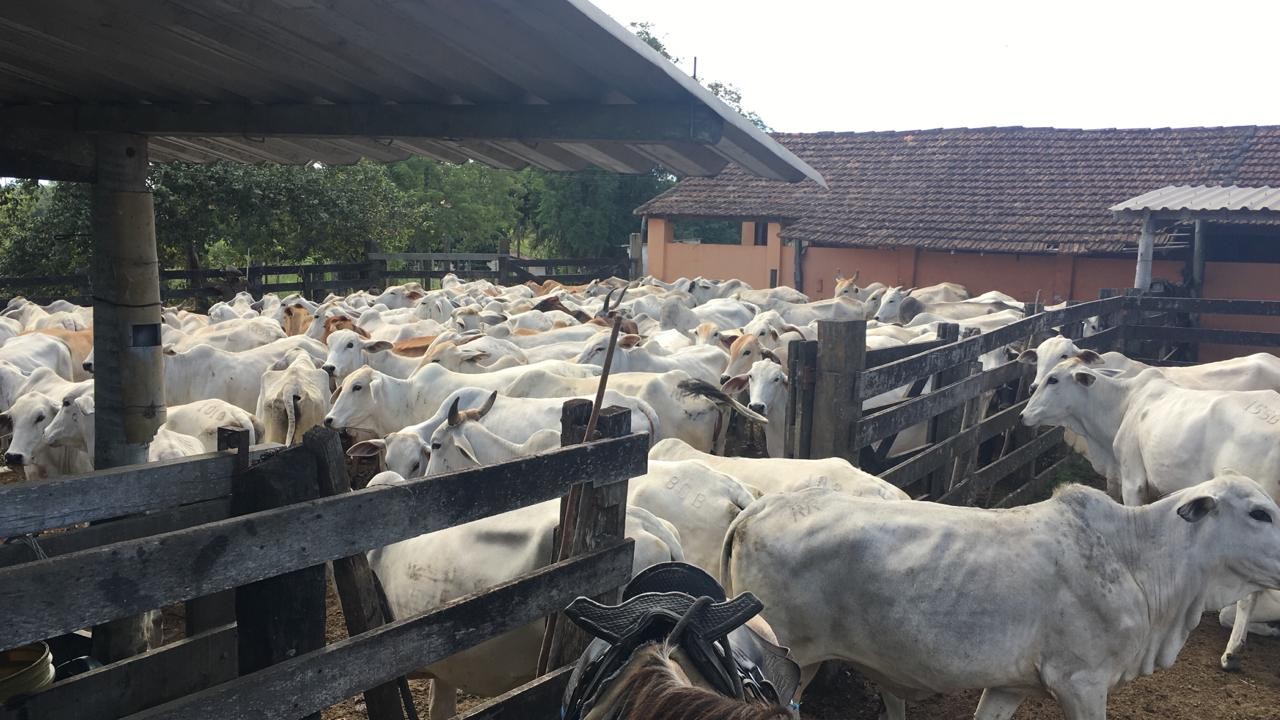 Loteamento e Condomínio, 126 hectares - Foto 8