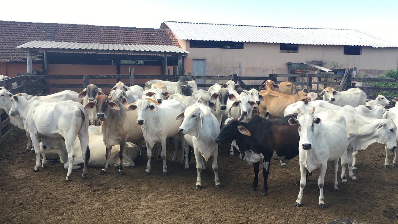 Loteamento e Condomínio, 126 hectares - Foto 9