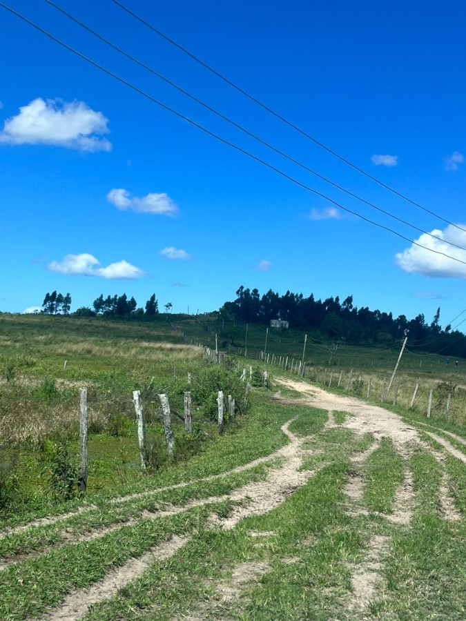 Loteamento e Condomínio, 126 hectares - Foto 32