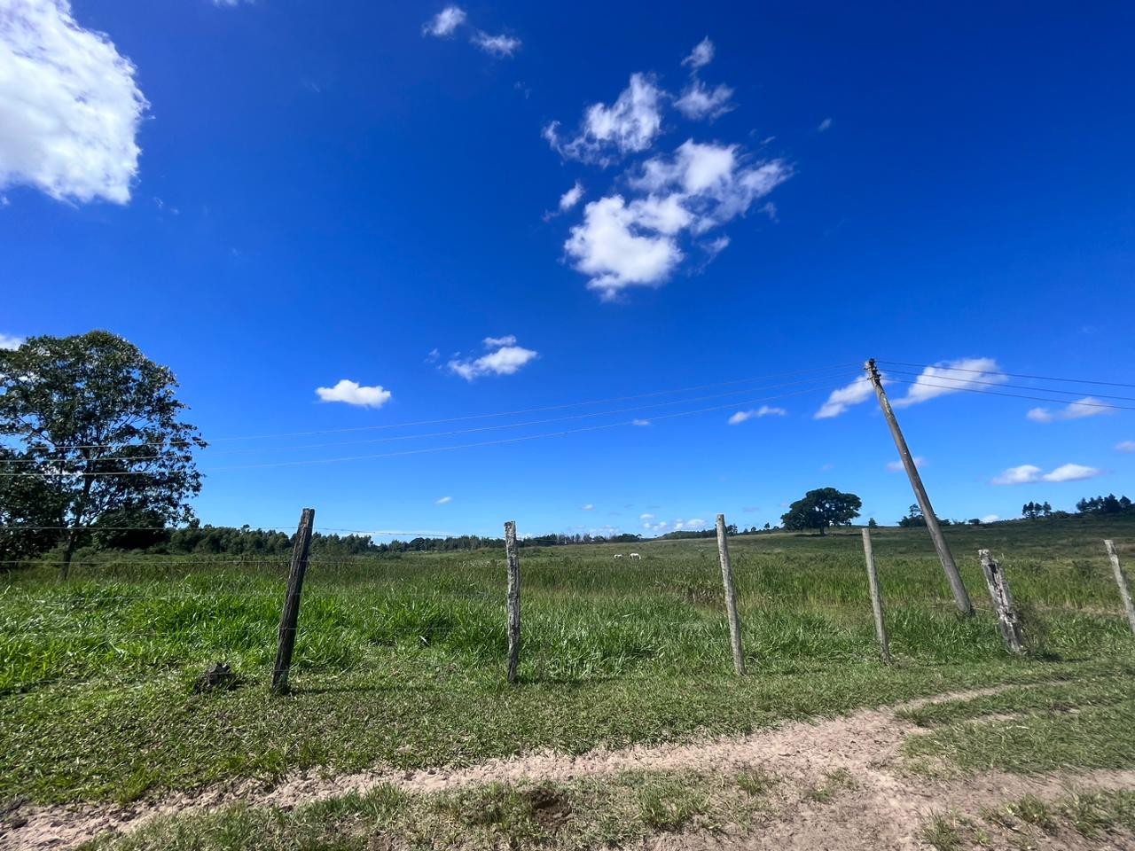 Loteamento e Condomínio, 126 hectares - Foto 31