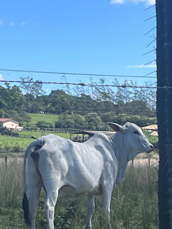 Loteamento e Condomínio, 126 hectares - Foto 30