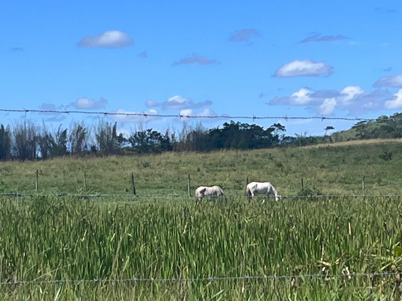 Loteamento e Condomínio, 126 hectares - Foto 33
