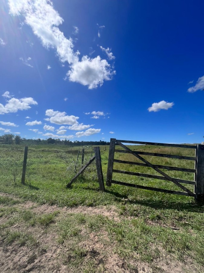 Loteamento e Condomínio, 126 hectares - Foto 36