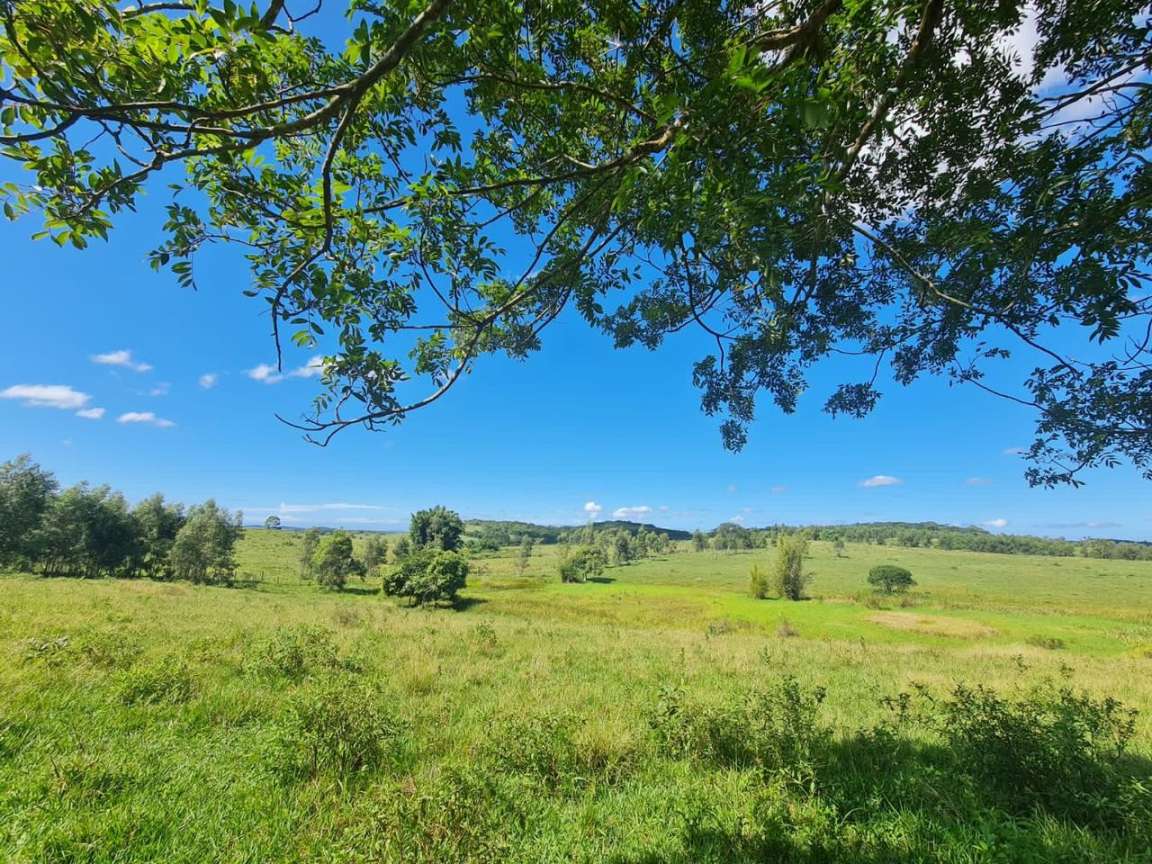 Loteamento e Condomínio, 126 hectares - Foto 42