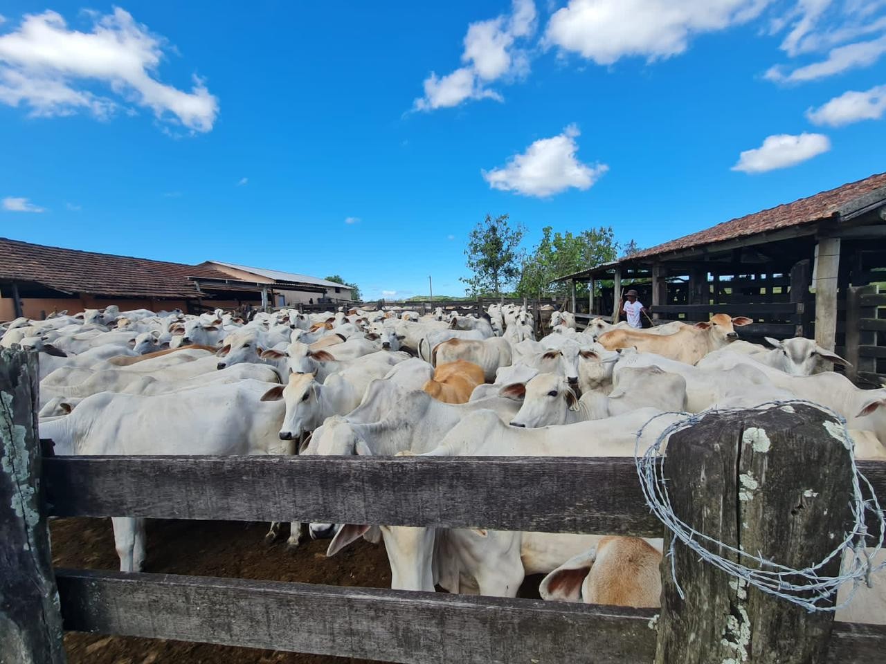 Loteamento e Condomínio, 126 hectares - Foto 43
