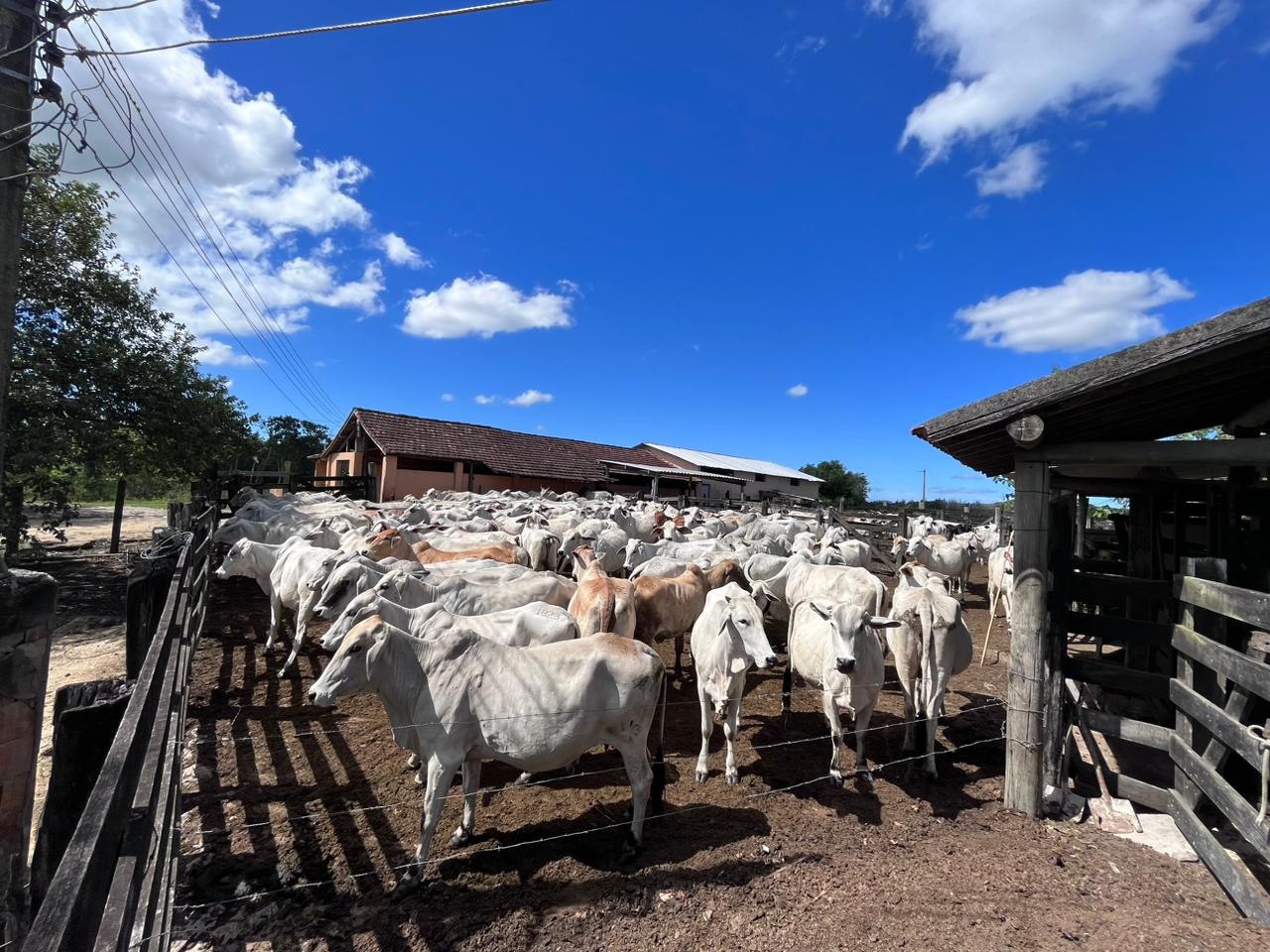 Loteamento e Condomínio, 126 hectares - Foto 41