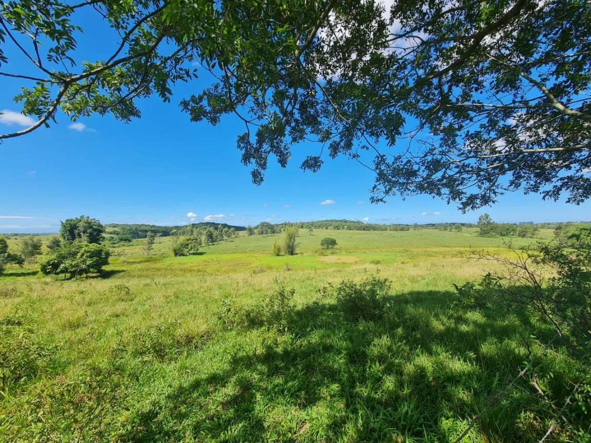 Loteamento e Condomínio, 126 hectares - Foto 45
