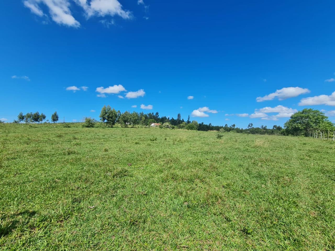 Loteamento e Condomínio, 126 hectares - Foto 46