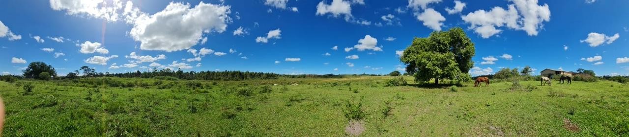 Loteamento e Condomínio, 126 hectares - Foto 49