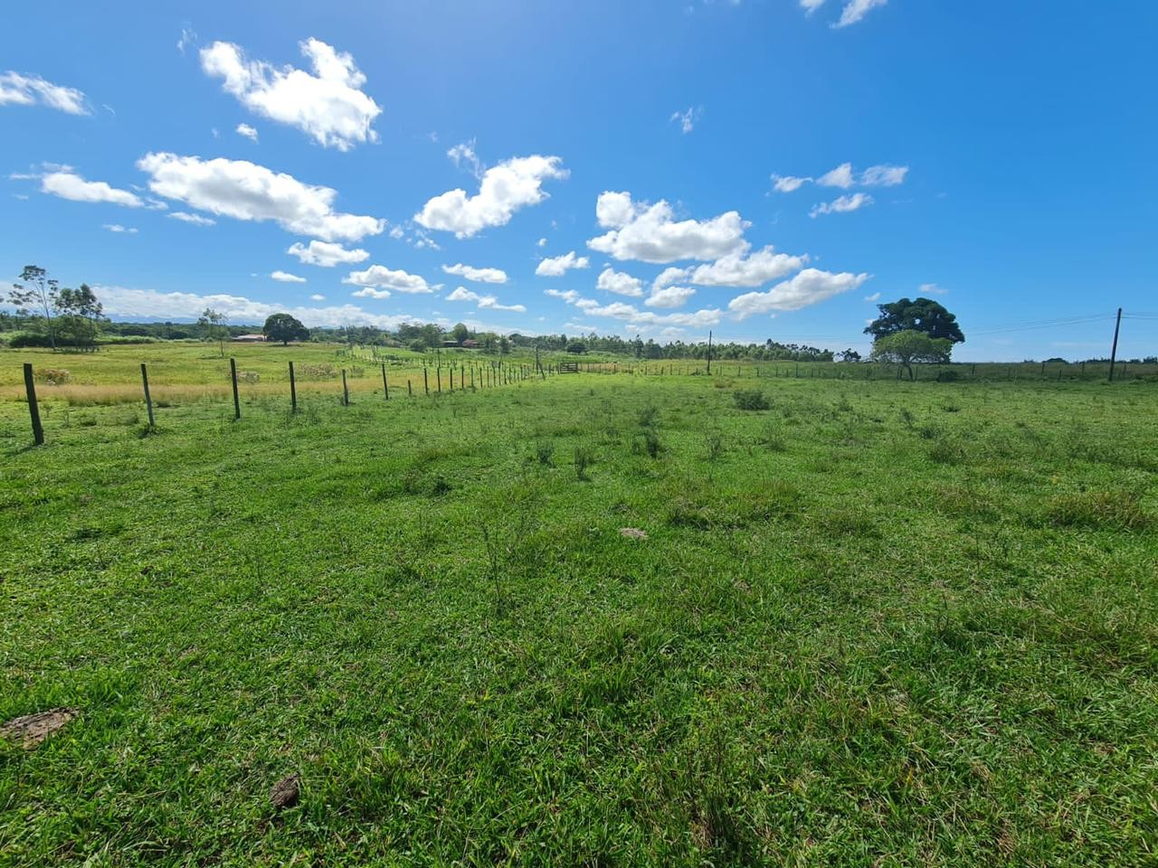 Loteamento e Condomínio, 126 hectares - Foto 48